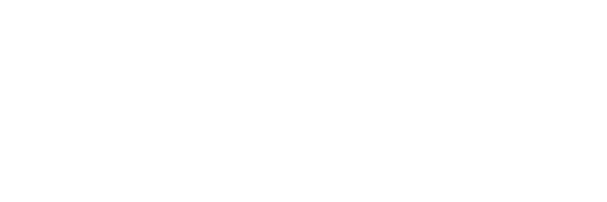 Plan Federal